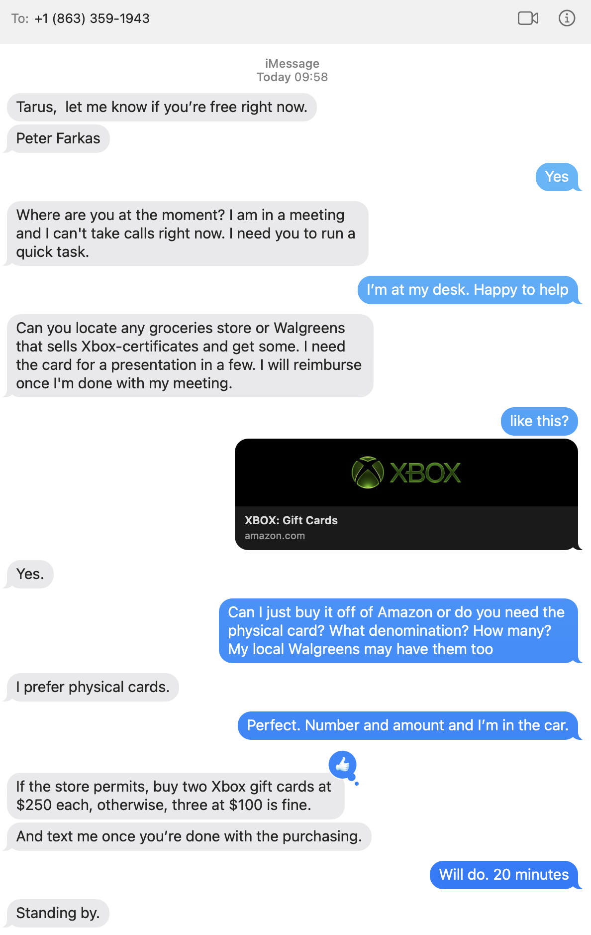 screenshot of initial conversation between scammer and me
